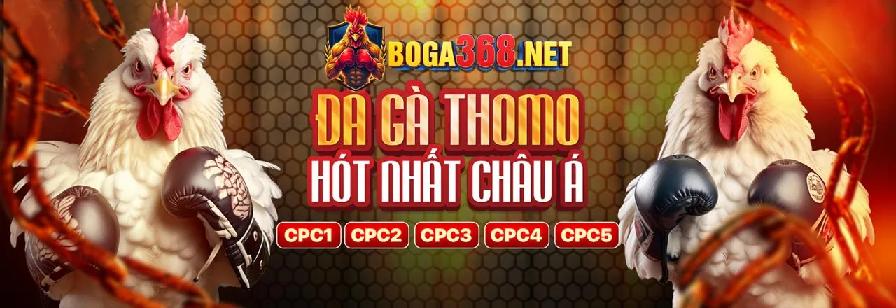 Sân đấu đá gà trực tuyến tại win89 chính thức